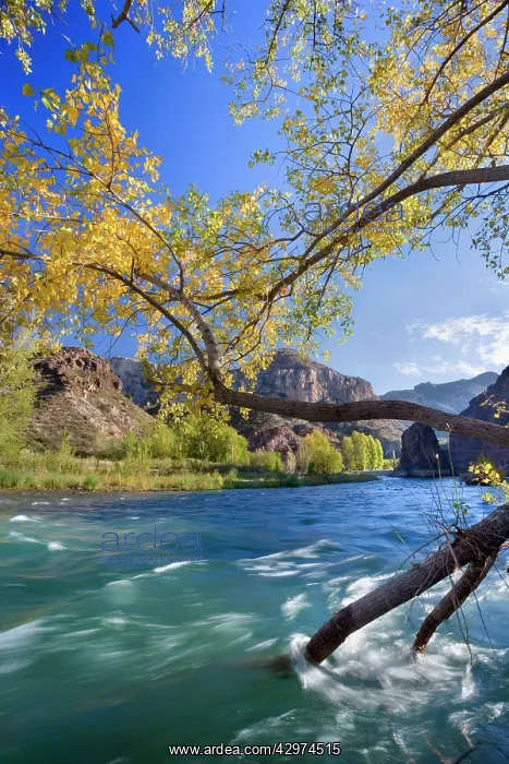 : Canyon de Atuel - Atuel river flows through Atuel : Canyon de Atuel - Atuel river flows through Atuel