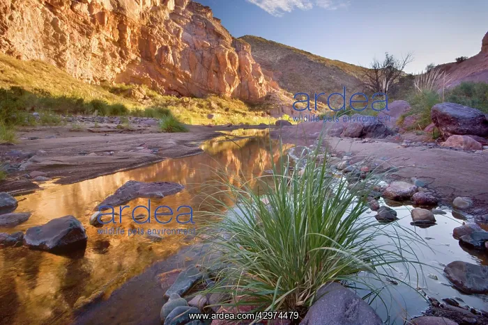 : Canyon de Atuel - reflections of red cliffs in : Canyon de Atuel - reflections of red cliffs in