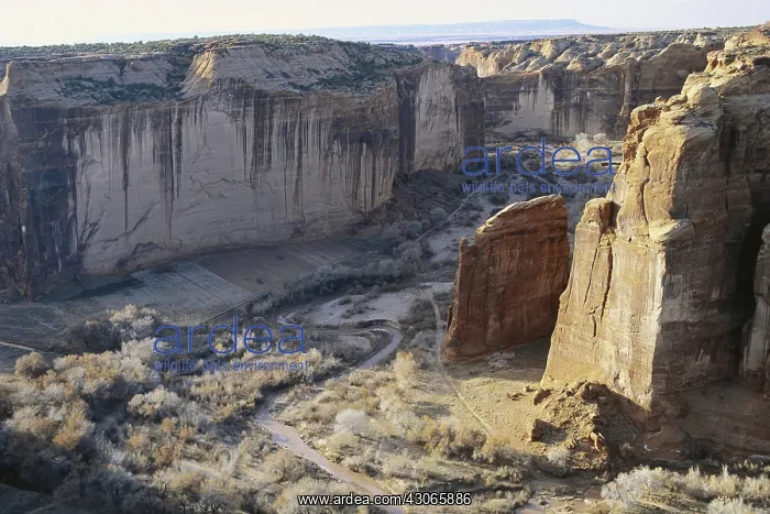 : Canyon de Chelly, Arizona : Canyon de Chelly, Arizona