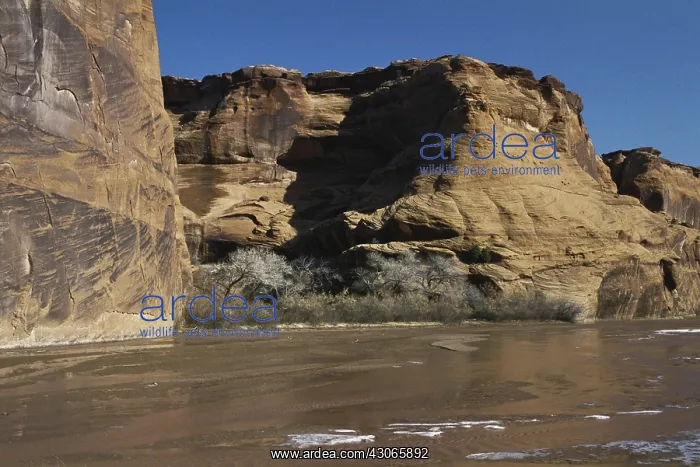 : Canyon de Chelly, Arizona : Canyon de Chelly, Arizona