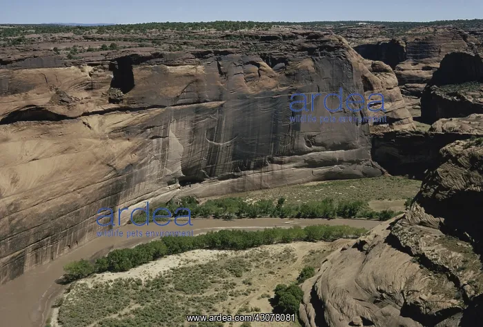 : Canyon de Chelly, Arizona : Canyon de Chelly, Arizona