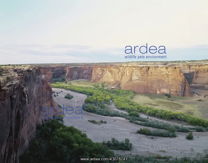 : Canyon de Chelly, Arizona : Canyon de Chelly, Arizona
