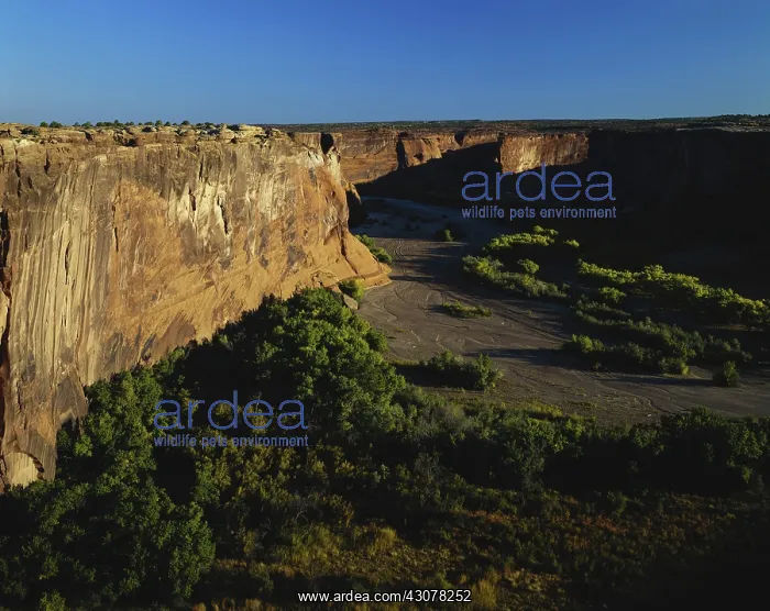 : Canyon de Chelly, Arizona : Canyon de Chelly, Arizona