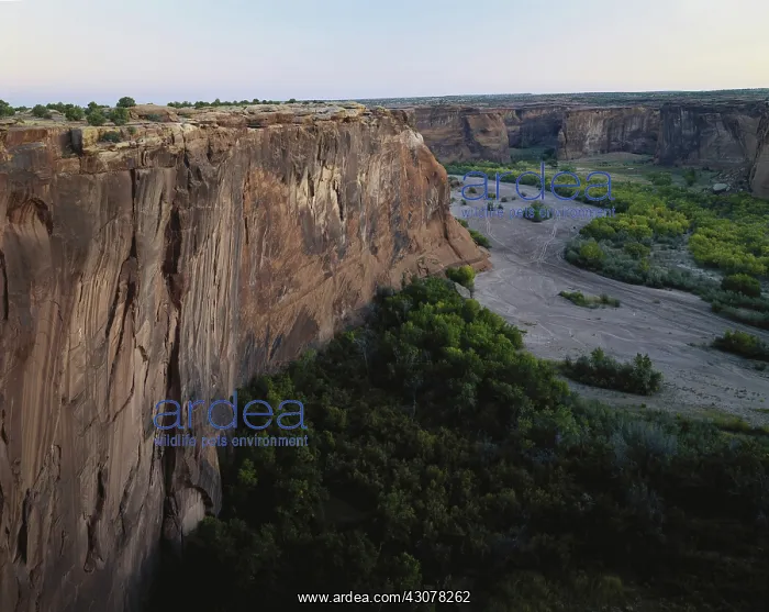 : Canyon de Chelly, Arizona : Canyon de Chelly, Arizona