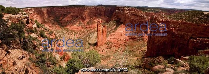  : Canyon de Chelly, Arizona