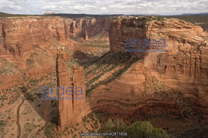 : Canyon de Chelly National Monument : Canyon de Chelly National Monument