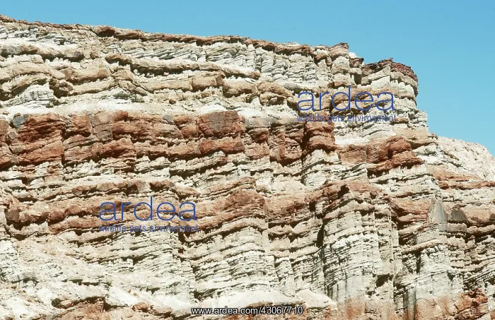 : Canyon cliff : Canyon cliff