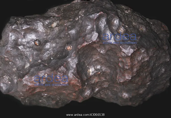 : Canyon Diablo Meteorite Fragment : Canyon Diablo Meteorite Fragment