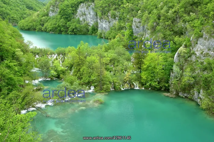 : Canyon - lower lakes area and cascades from above : Canyon - lower lakes area and cascades from above