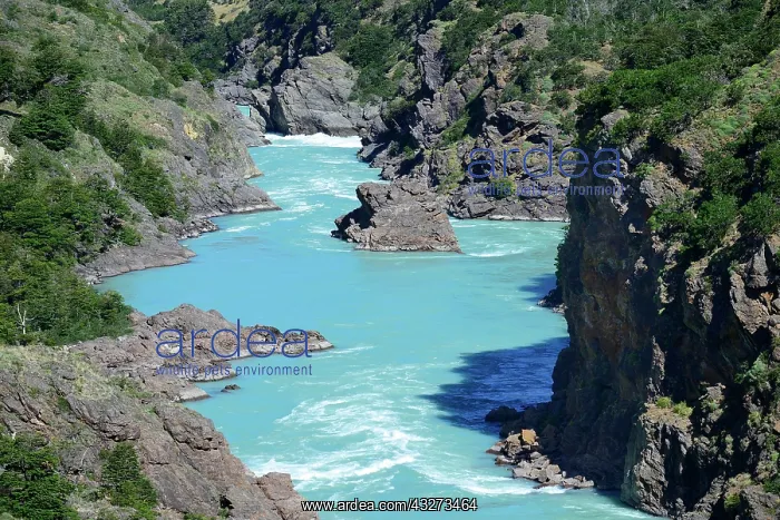 : Canyon of Rio Baker, near Puerto Bertrand, Regi&, xee824;e : Canyon of Rio Baker, near Puerto Bertrand, Regi&, xee824;e