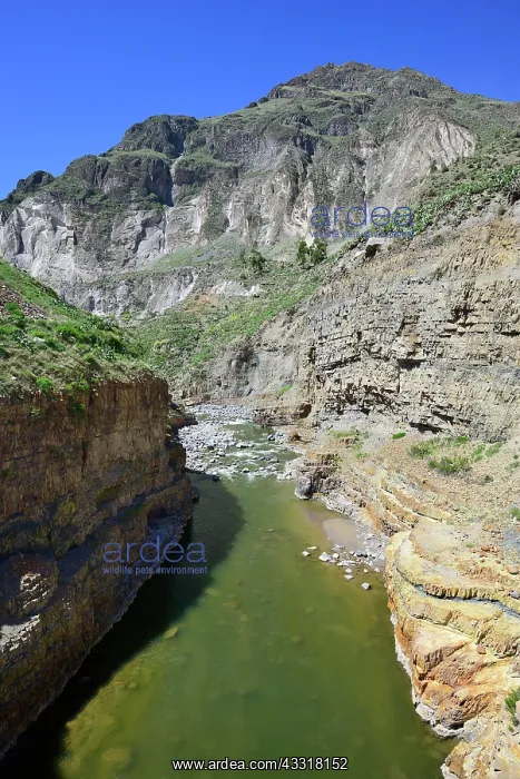  : In the canyon of the Rio Colca, Colca Canyon, Arequipa