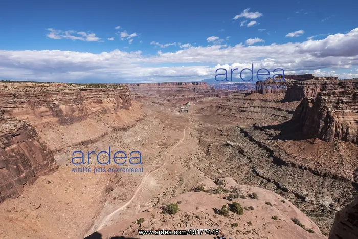 : Canyon with rock walls and wide views : Canyon with rock walls and wide views