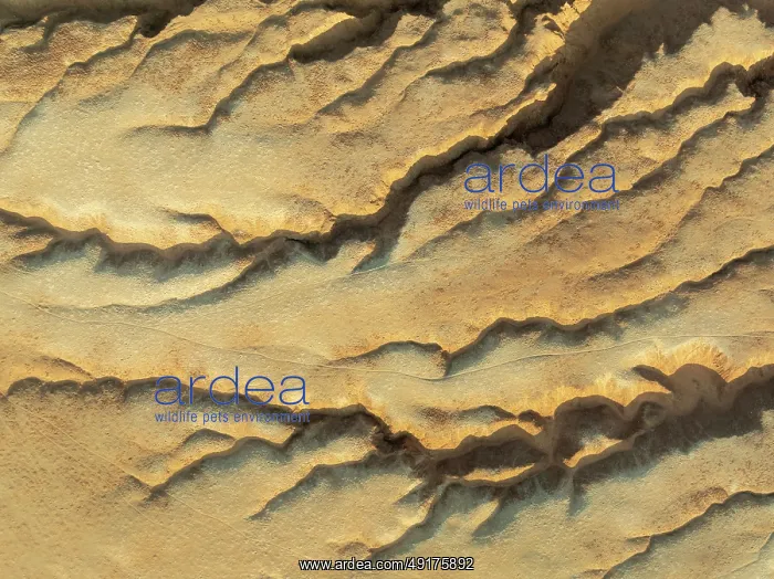 : Canyon in the Tsondab Valley in the Namib Desert : Canyon in the Tsondab Valley in the Namib Desert