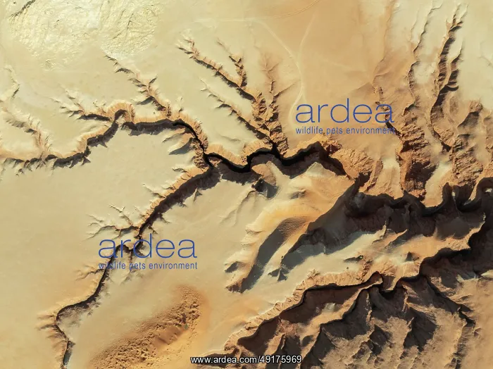: Canyon in the Tsondab Valley in the Namib Desert : Canyon in the Tsondab Valley in the Namib Desert