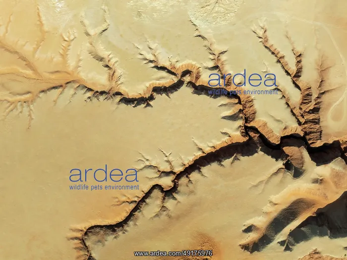 : Canyon in the Tsondab Valley in the Namib Desert : Canyon in the Tsondab Valley in the Namib Desert
