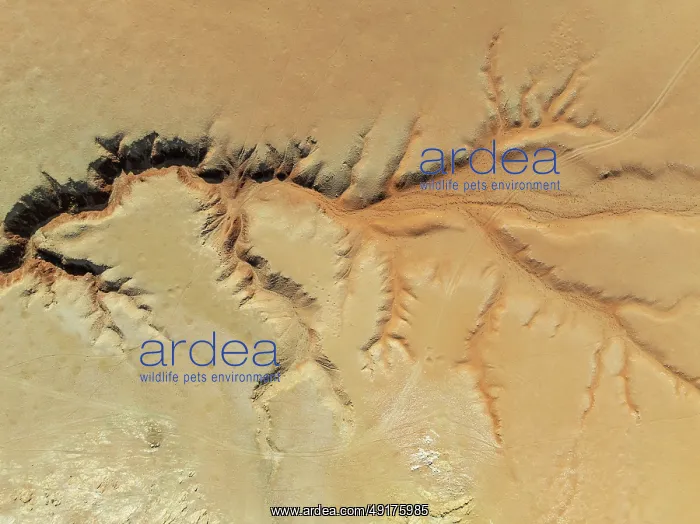 : Canyon in the Tsondab Valley in the Namib Desert : Canyon in the Tsondab Valley in the Namib Desert