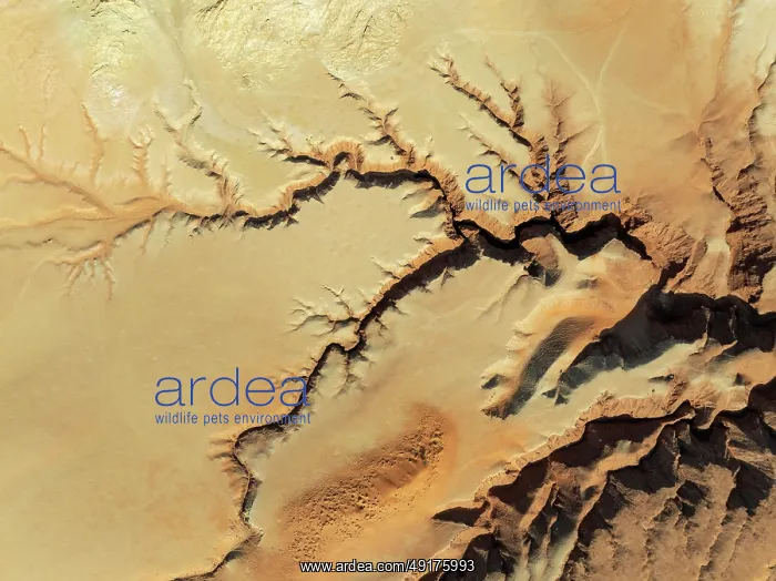 : Canyon in the Tsondab Valley in the Namib Desert : Canyon in the Tsondab Valley in the Namib Desert
