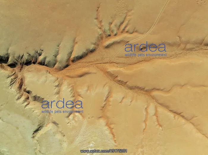 : Canyon in the Tsondab Valley in the Namib Desert : Canyon in the Tsondab Valley in the Namib Desert