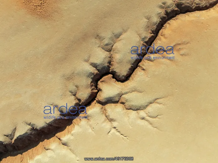 : Canyon in the Tsondab Valley in the Namib Desert : Canyon in the Tsondab Valley in the Namib Desert
