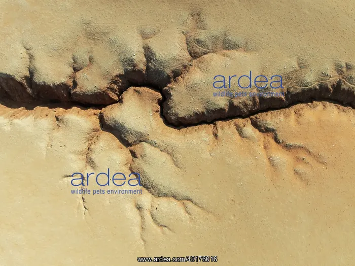 : Canyon in the Tsondab Valley in the Namib Desert : Canyon in the Tsondab Valley in the Namib Desert