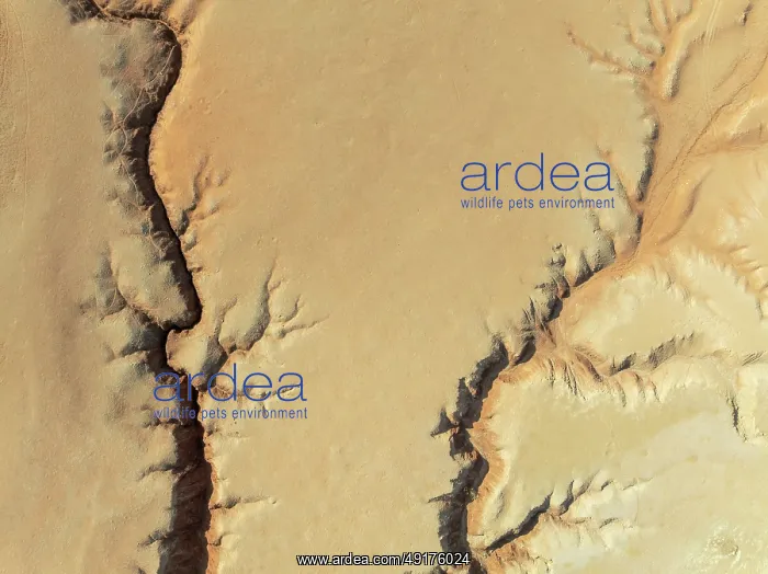  : Canyon in the Tsondab Valley in the Namib Desert