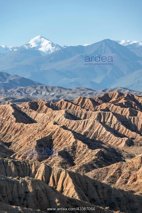 : Canyons in desert landscape, mountains of the Tian : Canyons in desert landscape, mountains of the Tian