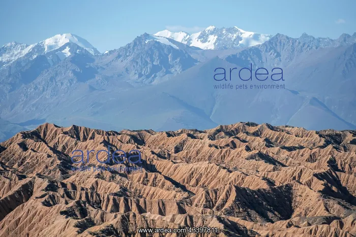 : Canyons in desert landscape, mountains of the Tian : Canyons in desert landscape, mountains of the Tian