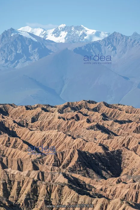 : Canyons in desert landscape, mountains of the Tian : Canyons in desert landscape, mountains of the Tian