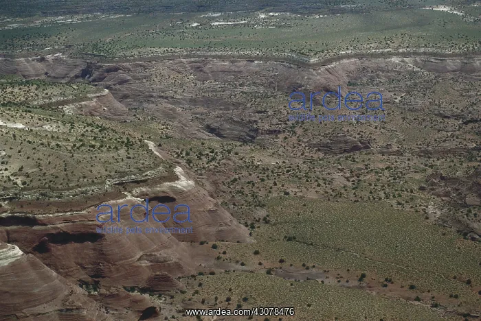 : Canyons of the Escalante : Canyons of the Escalante