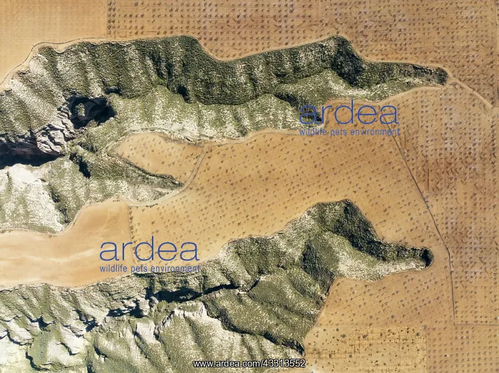 : Canyons and gorges cut into the surrounding cultivated : Canyons and gorges cut into the surrounding cultivated