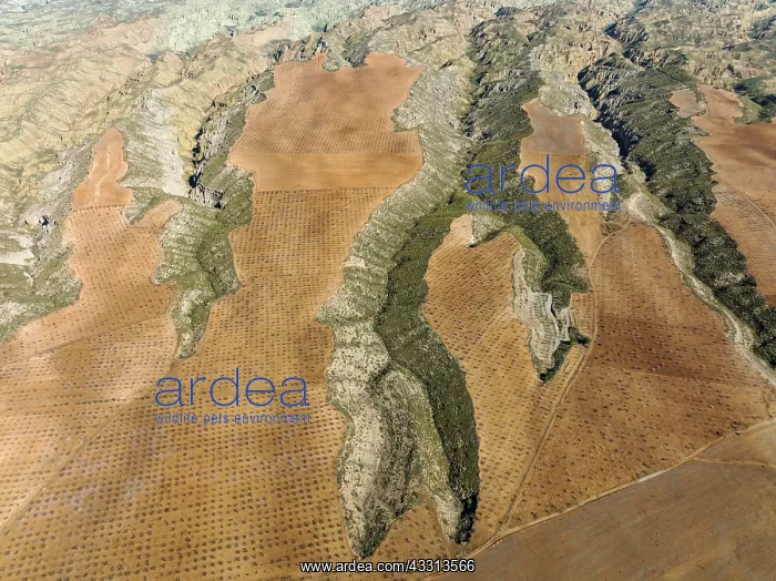 : Canyons and gorges cut into the surrounding cultivated : Canyons and gorges cut into the surrounding cultivated