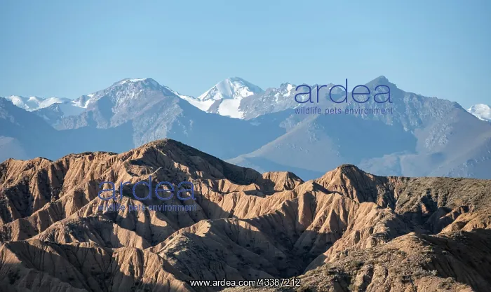 : Canyons, mountains of the Tian Shan in the background : Canyons, mountains of the Tian Shan in the background