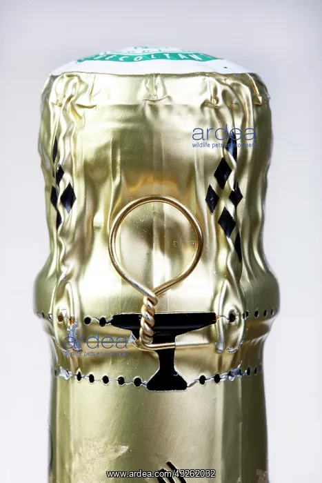 : Cap of a bottle of Champagne : Cap of a bottle of Champagne