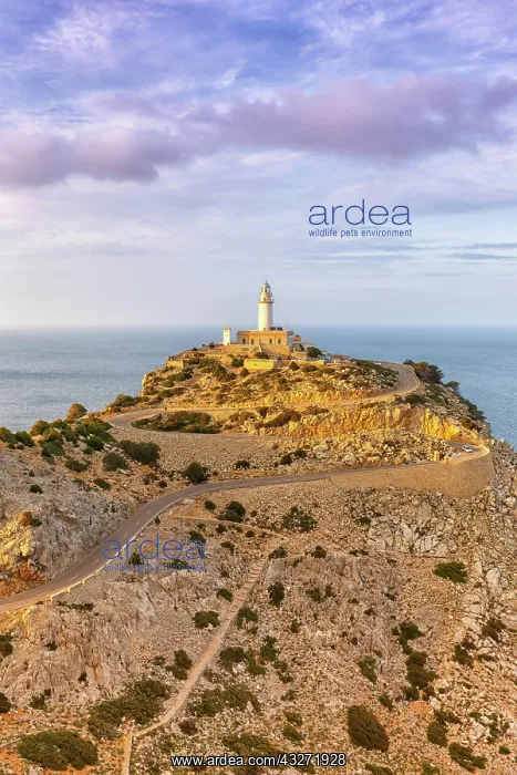 : Cap Formentor landscape nature lighthouse sea text : Cap Formentor landscape nature lighthouse sea text