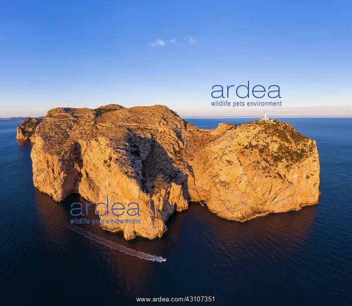 : Cap Formentor with lighthouse in the morning light : Cap Formentor with lighthouse in the morning light
