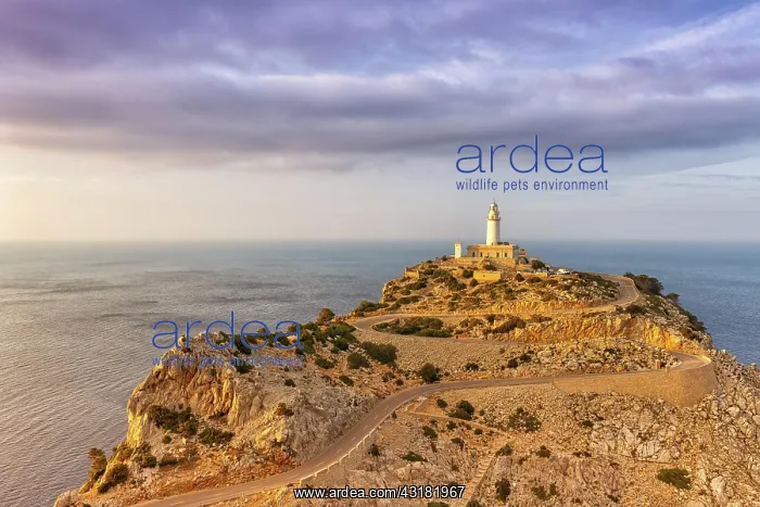 : Cap Formentor Majorca landscape nature lighthouse : Cap Formentor Majorca landscape nature lighthouse