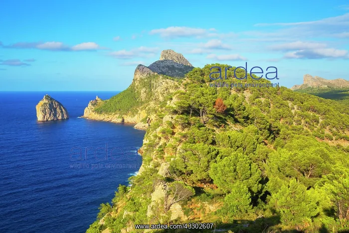 : Cap de Formentor, Mallorca, Balearic Islands, Spain : Cap de Formentor, Mallorca, Balearic Islands, Spain