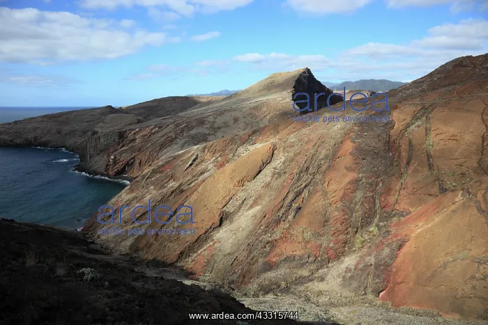 : At Cap Ponta de Sao Lourenco, landscape at the eastern : At Cap Ponta de Sao Lourenco, landscape at the eastern