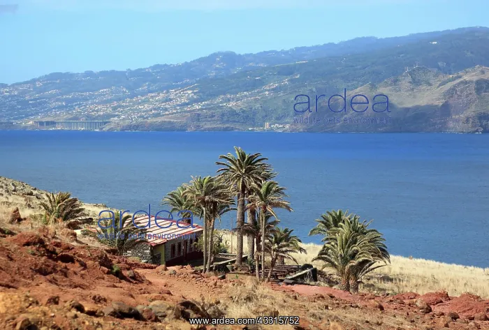 : At Cap Ponta de Sao Lourenco, landscape at the eastern : At Cap Ponta de Sao Lourenco, landscape at the eastern