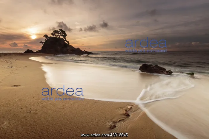  : Cap Roig beach at sunrise