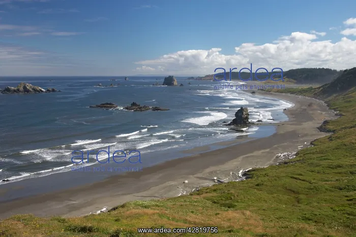  : Cape Blanco