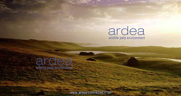 : Cape Bridgewater Lakes with Cape Bridgewater in : Cape Bridgewater Lakes with Cape Bridgewater in