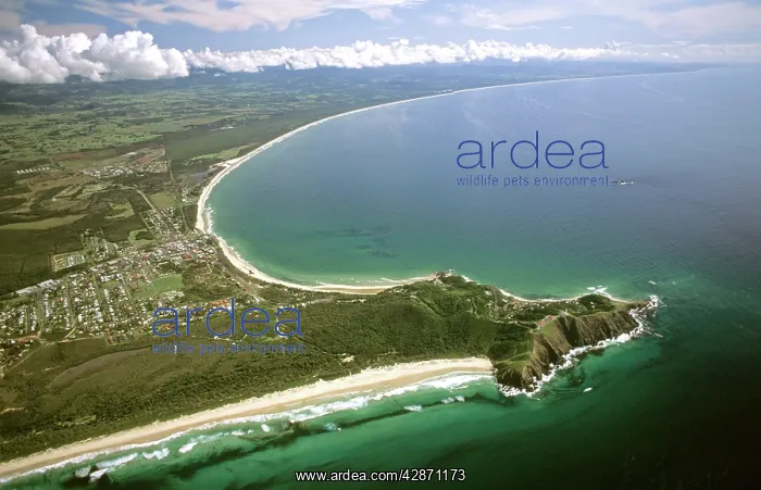 : Cape Byron Byron Bay : Cape Byron Byron Bay