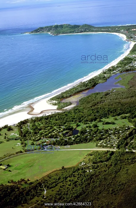 : Cape Byron Byron Bay : Cape Byron Byron Bay