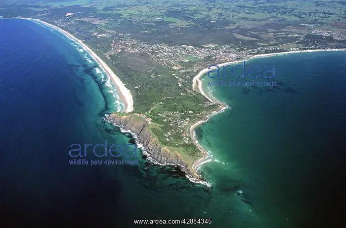: Cape Byron Byron Bay : Cape Byron Byron Bay