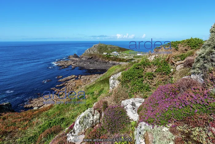 : Cape Cornwall - from Carn Gloose - Cornwall - UK : Cape Cornwall - from Carn Gloose - Cornwall - UK