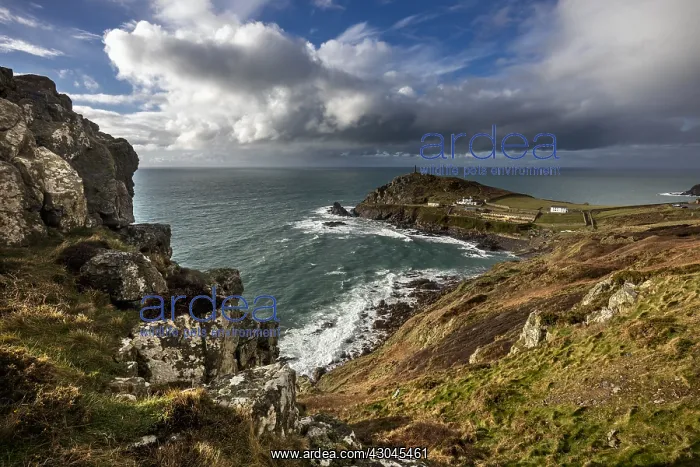 : Cape Cornwall - Cornwall - UK : Cape Cornwall - Cornwall - UK