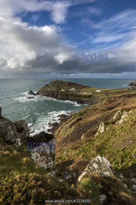: Cape Cornwall - Cornwall - UK : Cape Cornwall - Cornwall - UK
