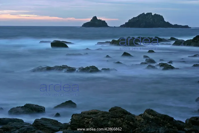 : Cape Cornwall - at low tide with high tide coming in : Cape Cornwall - at low tide with high tide coming in