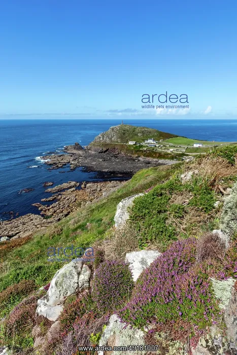 : Cape Corwall - From Carn Gloose - Cornwall - UK : Cape Corwall - From Carn Gloose - Cornwall - UK